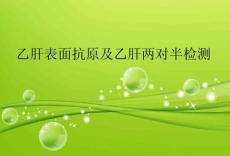 乙肝表面抗原及乙肝两对半检测
