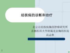 結核病診斷和治療ppt課件2