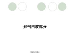 解剖四肢部分