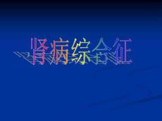肾病综合征24419
