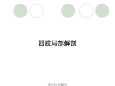 四肢局部解剖