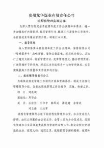 龍華煤業流程化管理實 施方案