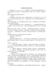 细菌性痢疾授课