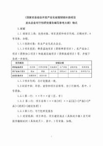 龙头企业可行性研究报告编写参考大 纲 》格式