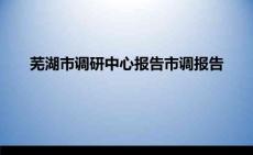 蕪湖市調研中心報告市調報告