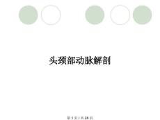头颈部动脉解剖
