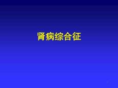 肾病综合征24341