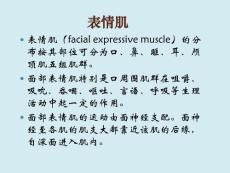 口腔科学教学课件：口颌面颈部肌-第1-2节表情肌、舌咽腭喉部肌