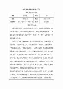 顶岗实习总结