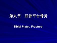 胫骨平台骨折胫腓骨骨干骨折课件