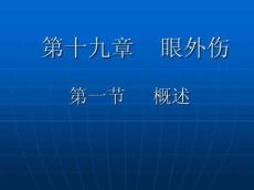 眼外伤本科临床