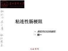 粘连性肠梗阻课件ppt