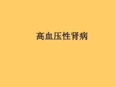 高血压肾病.ppt