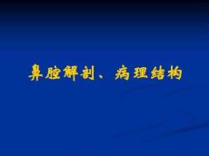 过敏性鼻炎