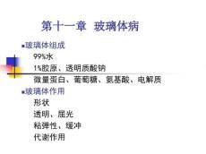 眼底眼外伤