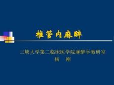 局部麻醉方法–椎管内麻醉