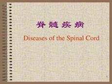 急性脊髓炎PPT课件