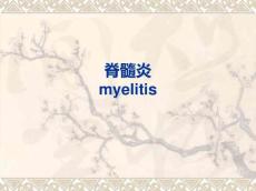 急性脊髓炎4577