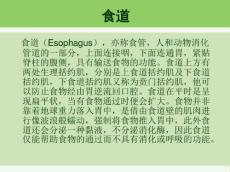 食道癌护理查房