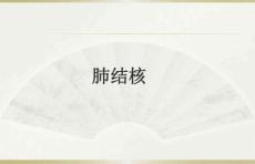 肺结核ppt课件-最新版-肺结核