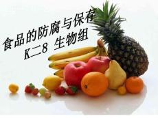 如何储存食物