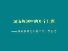 城市規(guī)劃中的幾個(gè)問題-王舒揚(yáng)