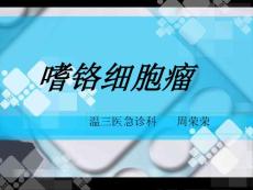 嗜铬细胞瘤.ppt