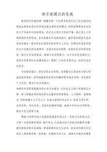 两手抓模式的发展