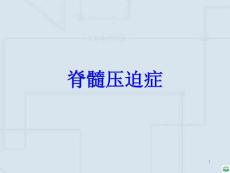 脊髓压迫症最新PPT课件