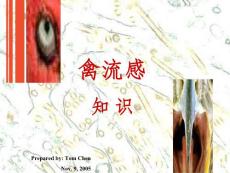 禽流感知识