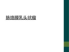 脉络膜乳头状瘤