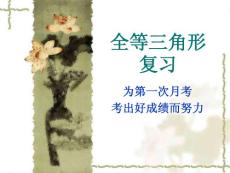 全等三角形复习(一)