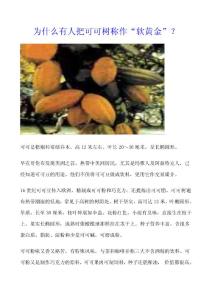 為什么有人把可可樹稱作軟黃金