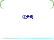 狂犬病课件