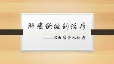 肝动脉化疗栓塞术