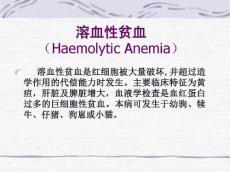 兽医溶血性贫血
