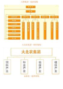 大型飼料企業組織架構