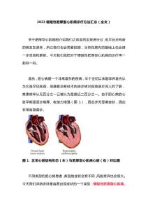 2023梗阻性肥厚型心肌病诊疗方法汇总（全文）