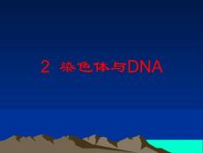 2 染色體與DNA-2