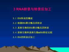 3 RNA轉錄與轉錄后加工