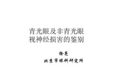 青光眼及非青光眼视神经损害之一