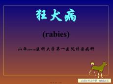 狂犬病PPT课件