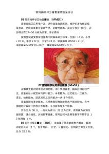 常用痴呆评分量表量表痴呆评分