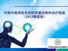 中国中枢神经系统胶质瘤诊断和治疗指南（2012精简版）