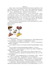 脂肪肝簡(jiǎn)介