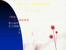 肾炎肾炎是指肾实质和间质的炎症肾小球性肾炎