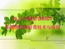 头颈部CTAppt课件