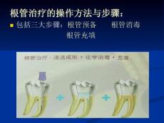 口腔牙体牙髓病学--第十七章根管治疗2