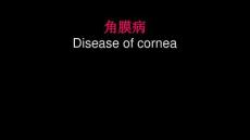 角膜病Diseaseofcornea课件