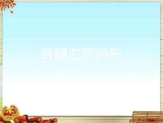 脊髓血管畸形
